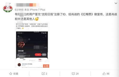 沈阳日报爆料肖战事件视频,真相与争议再引热议